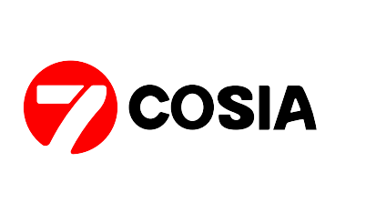 Pioneer Consulting Services