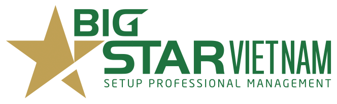 Logo Bigstar Việt Nam