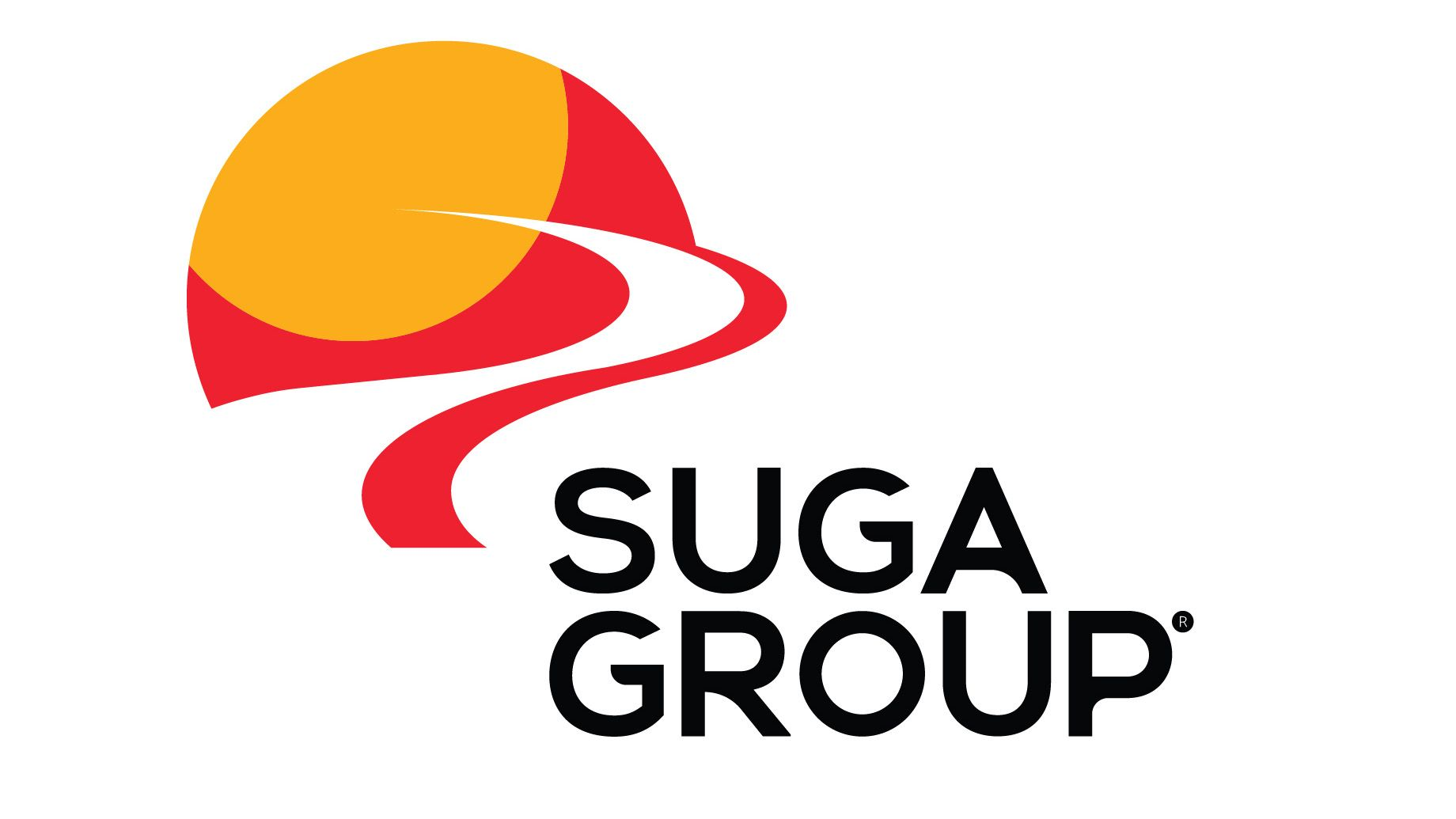 Pioneer Consulting Services