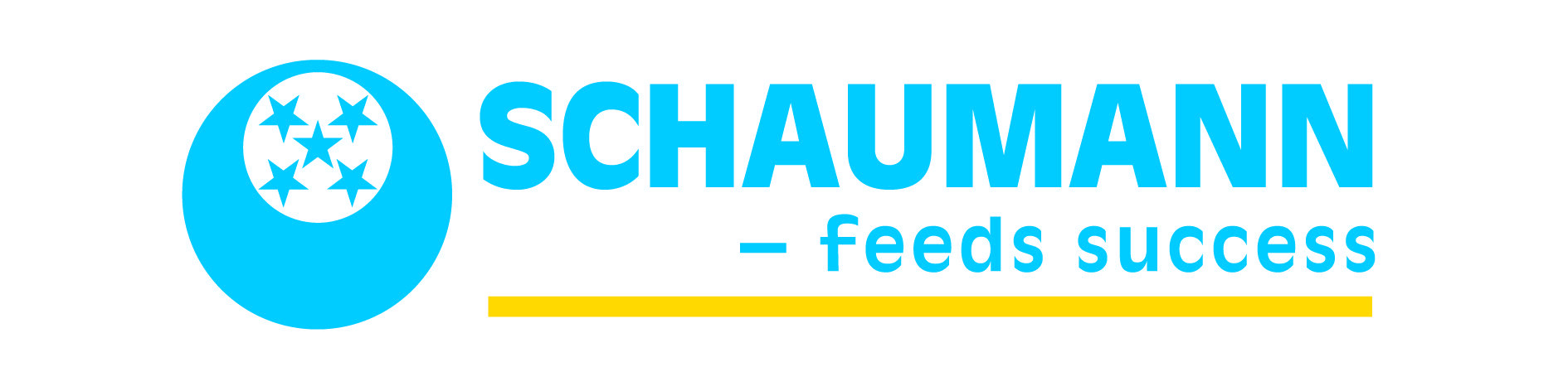 Logo Schaumann Việt Nam