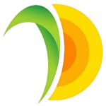 Pioneer Consulting Services