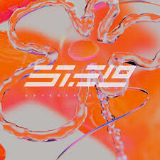 Pioneer Consulting Services