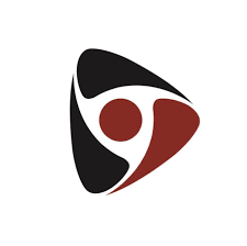 Pioneer Consulting Services