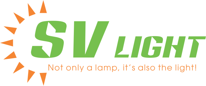 Pioneer Consulting Services