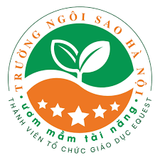 Logo Trường Liên Cấp Tiểu Học & THCS Ngôi Sao Hà Nội