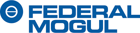 Federal-Mogul (Việt Nam)