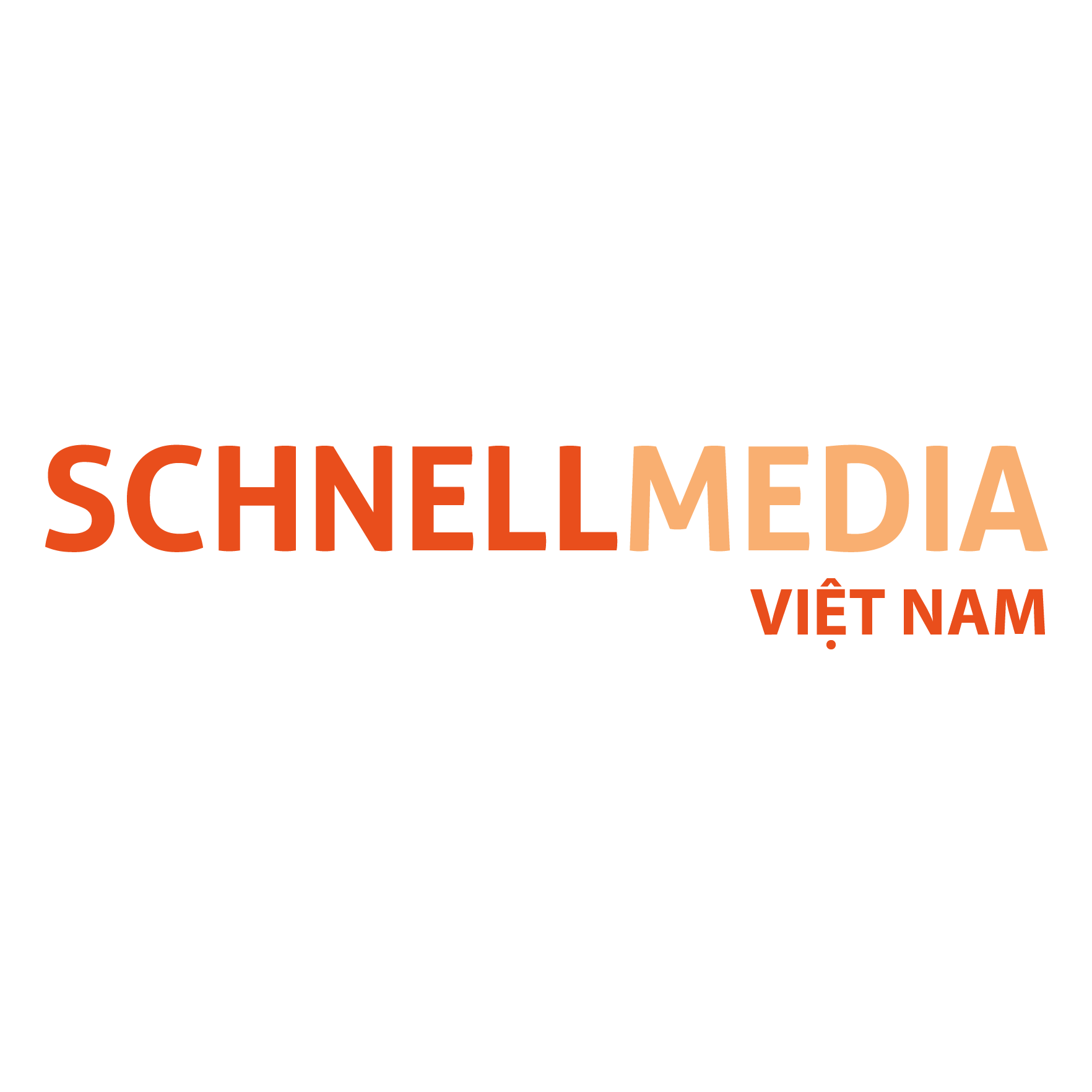 Logo Schnellmedia Việt Nam