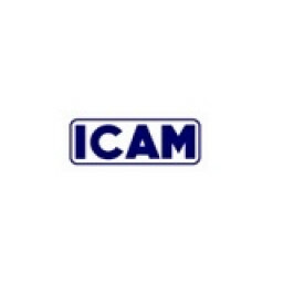 Logo Icam Việt Nam