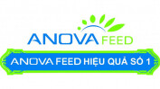 Logo Anova Feed