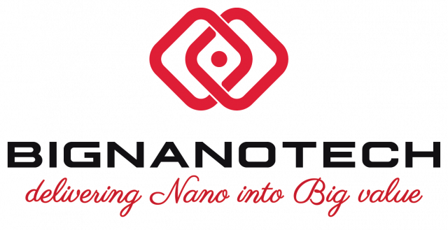 Logo BIG NANO TECH