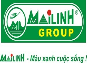 Logo Công Ty TNHH Mai Linh Đà Lạt