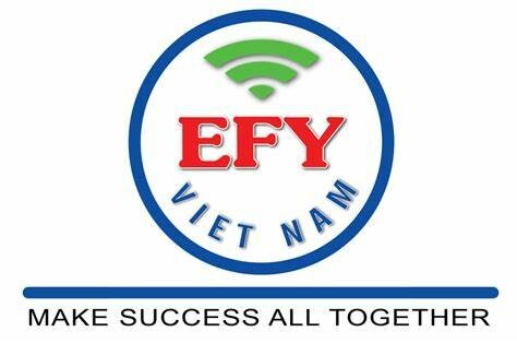 Logo EFY Việt Nam