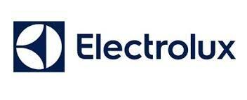 Logo ELECTROLUX VIỆT NAM