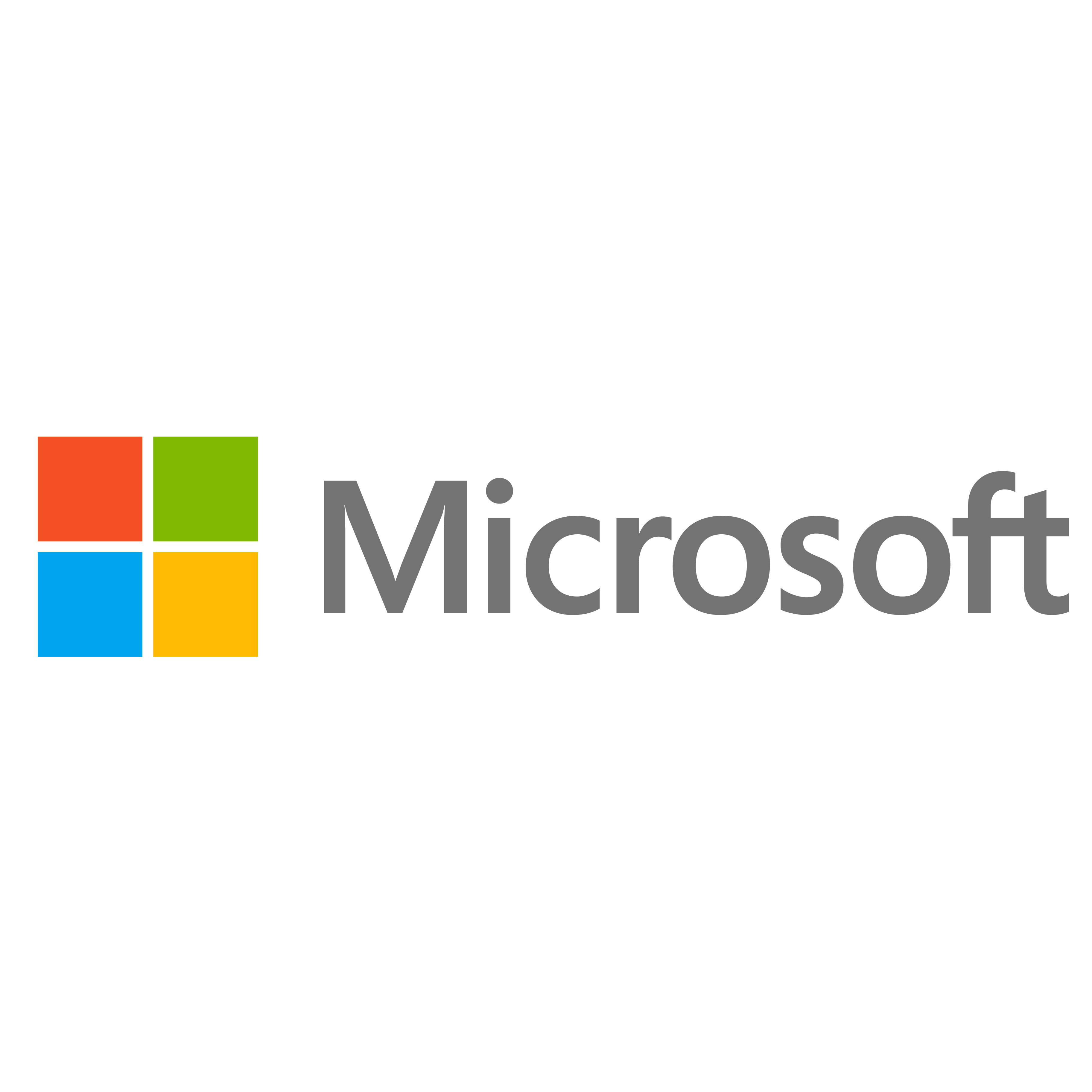 MICROSOFT VIETNAM LLC