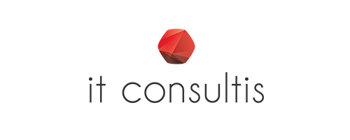 Pioneer Consulting Services