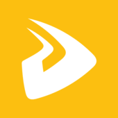 Logo Designveloper (DSV)
