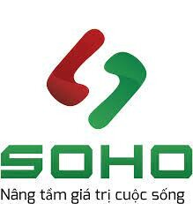 Công ty TNHH Giải pháp viễn thông Công nghệ số SOHO