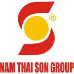 Logo Nam Thái Sơn