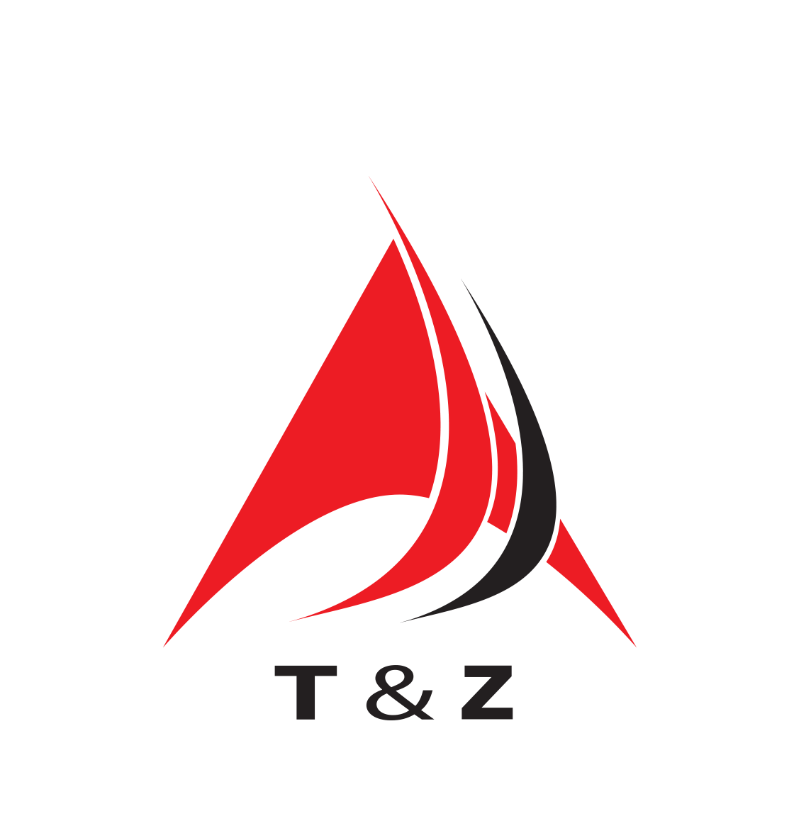 Logo CÔNG TY T & Z