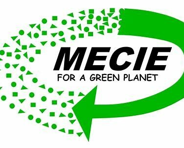 Pioneer Consulting Services