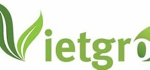 Xuất Nhập Khẩu Vietgro