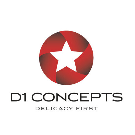 Logo D1 Concepts