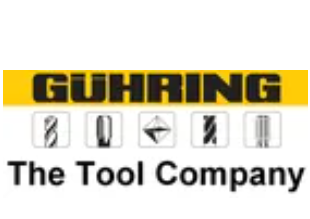 Pioneer Consulting Services