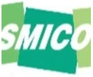 Pioneer Consulting Services