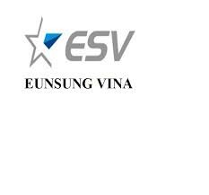 Logo EUNSUNG ELECTRONICS VINA