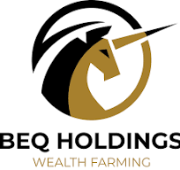 CÔNG TY CỔ PHẦN BEQ HOLDINGS