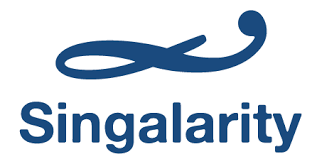 Logo Singalarity JSC