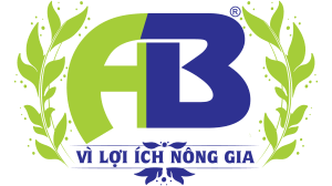 Logo AN BÌNH VN