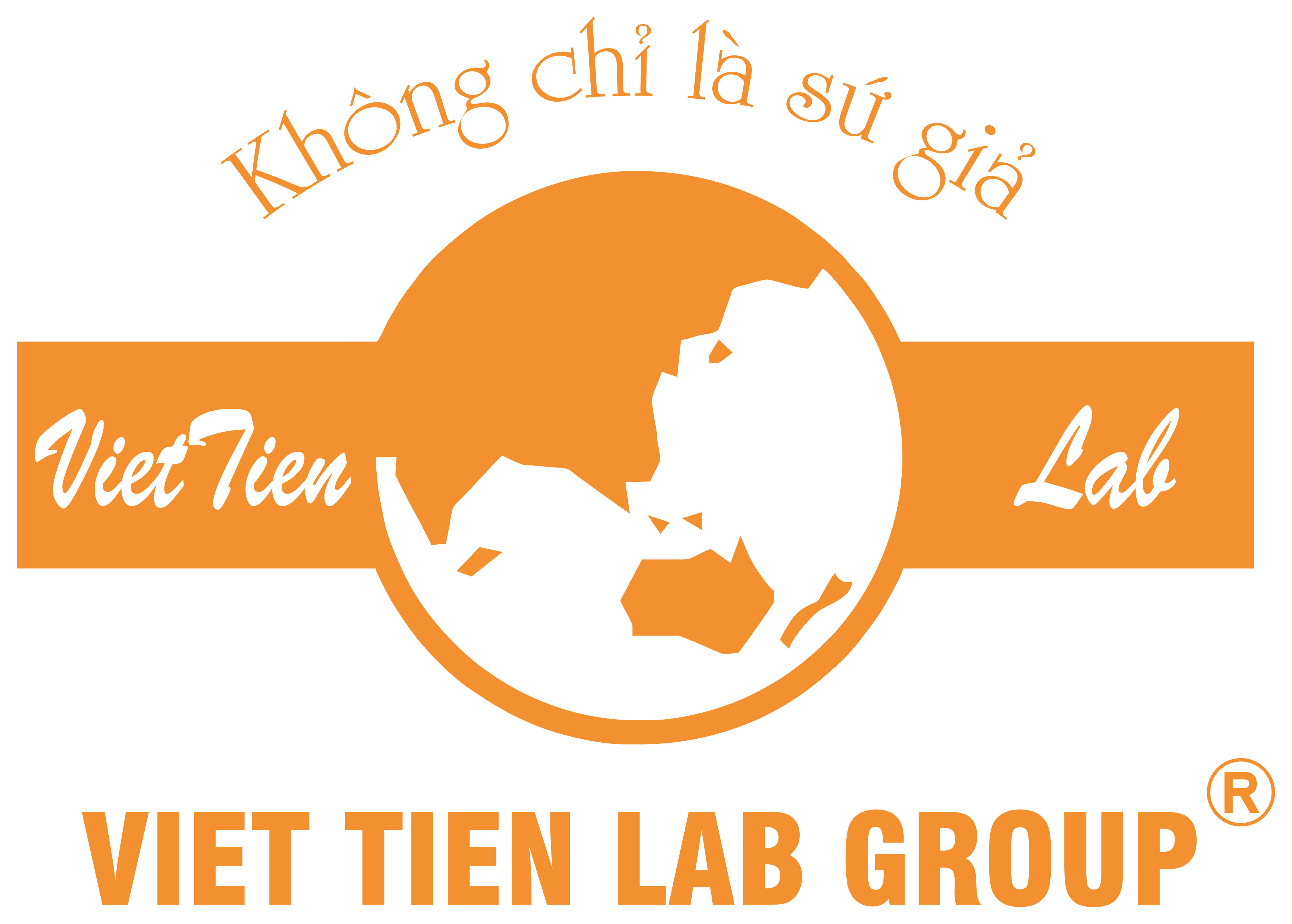 Việt Tiên Group