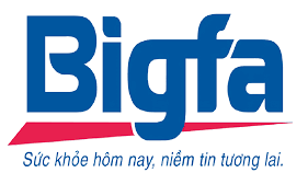 Logo Công Ty Bigfa