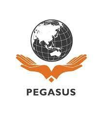 Logo Trường Cao đẳng Quốc tế Pegasus