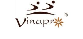 Logo VINAPRO GROUP