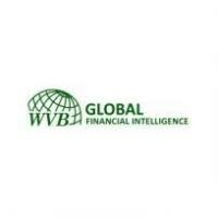 Logo Công Ty Dịch Vụ Thông Tin Tài Chính WVB