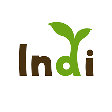Logo INDI GAMES