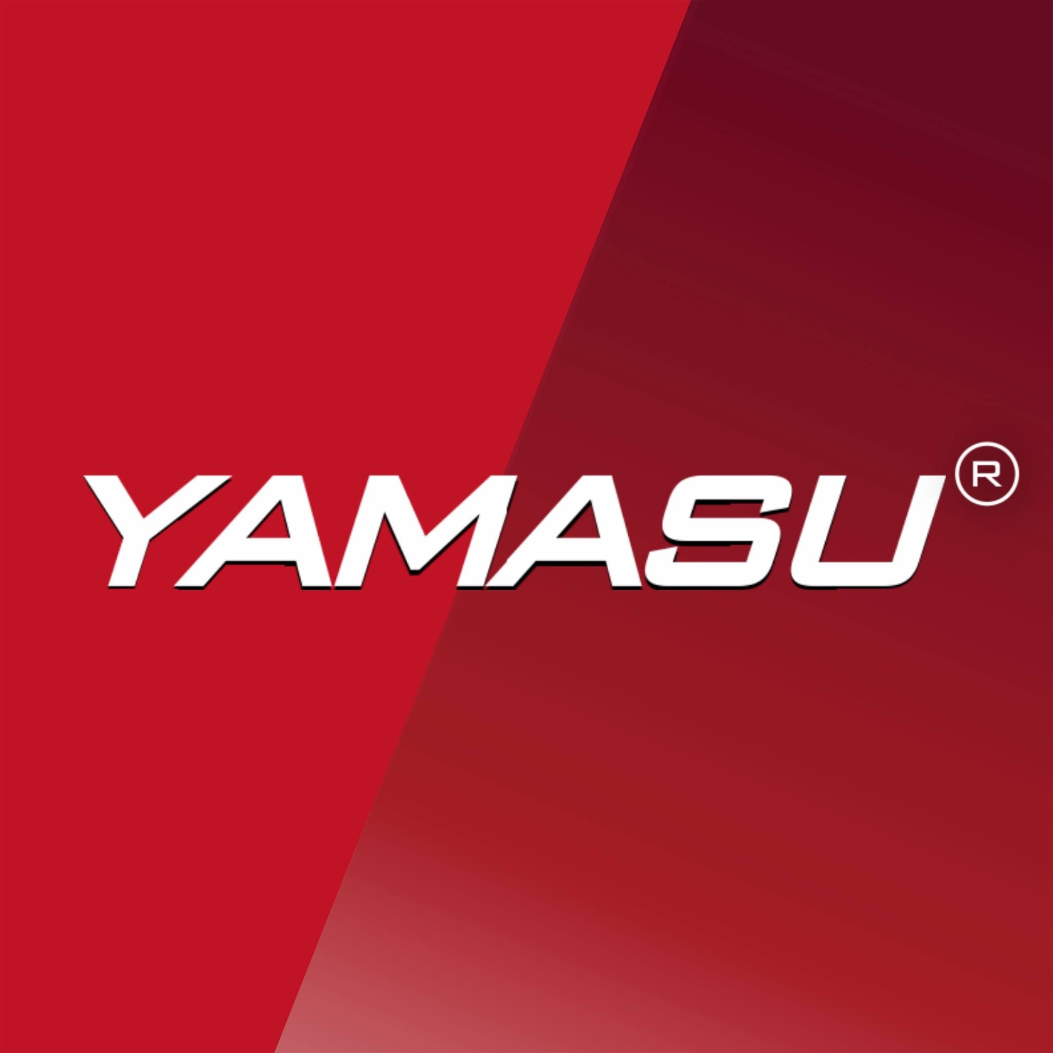 Pioneer Consulting Services