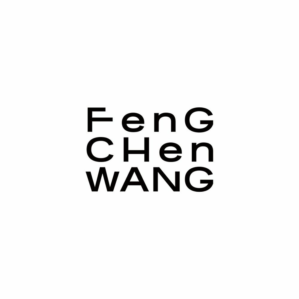Wang Feng
