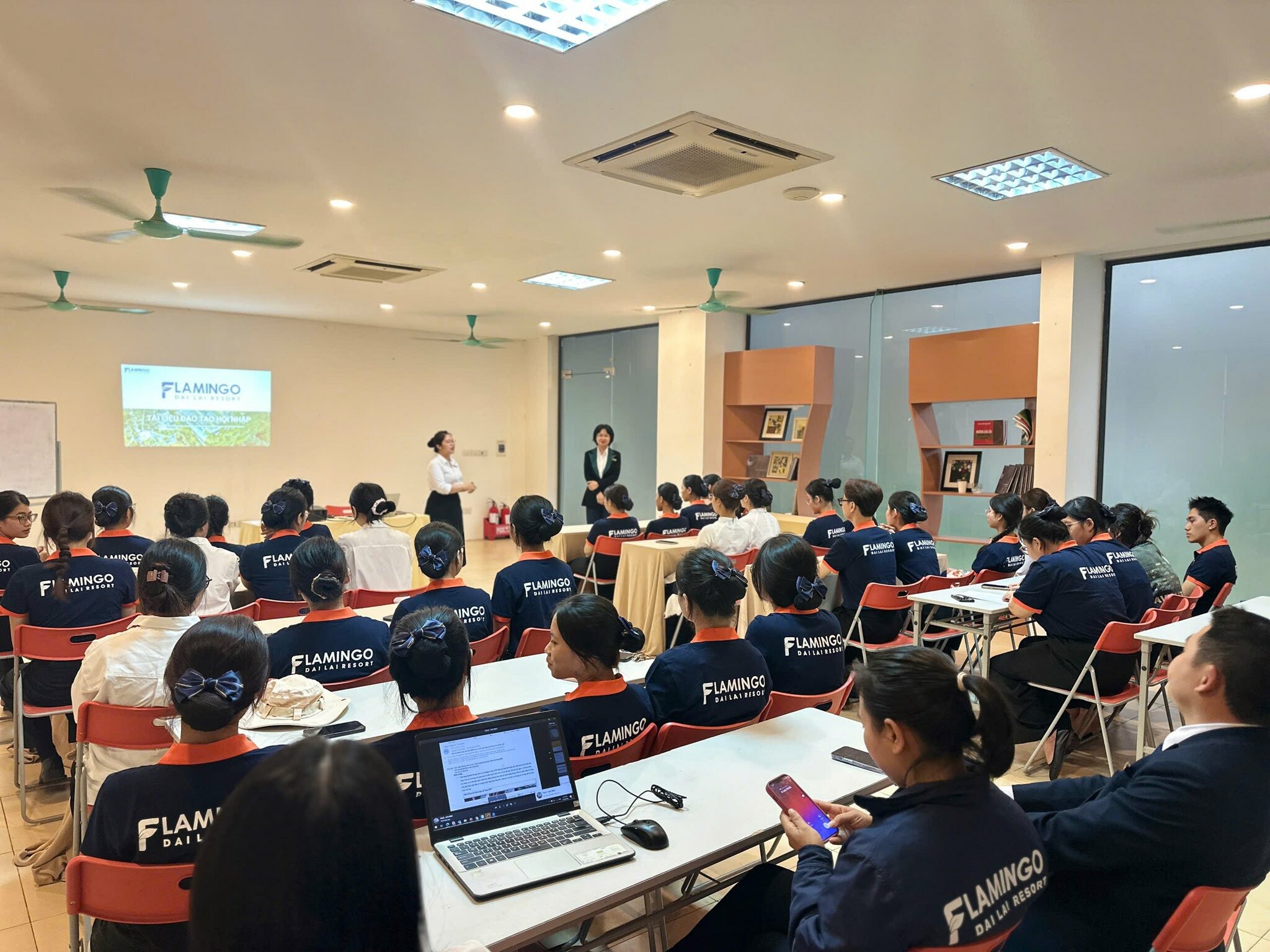 Flamingo Holding Group 6