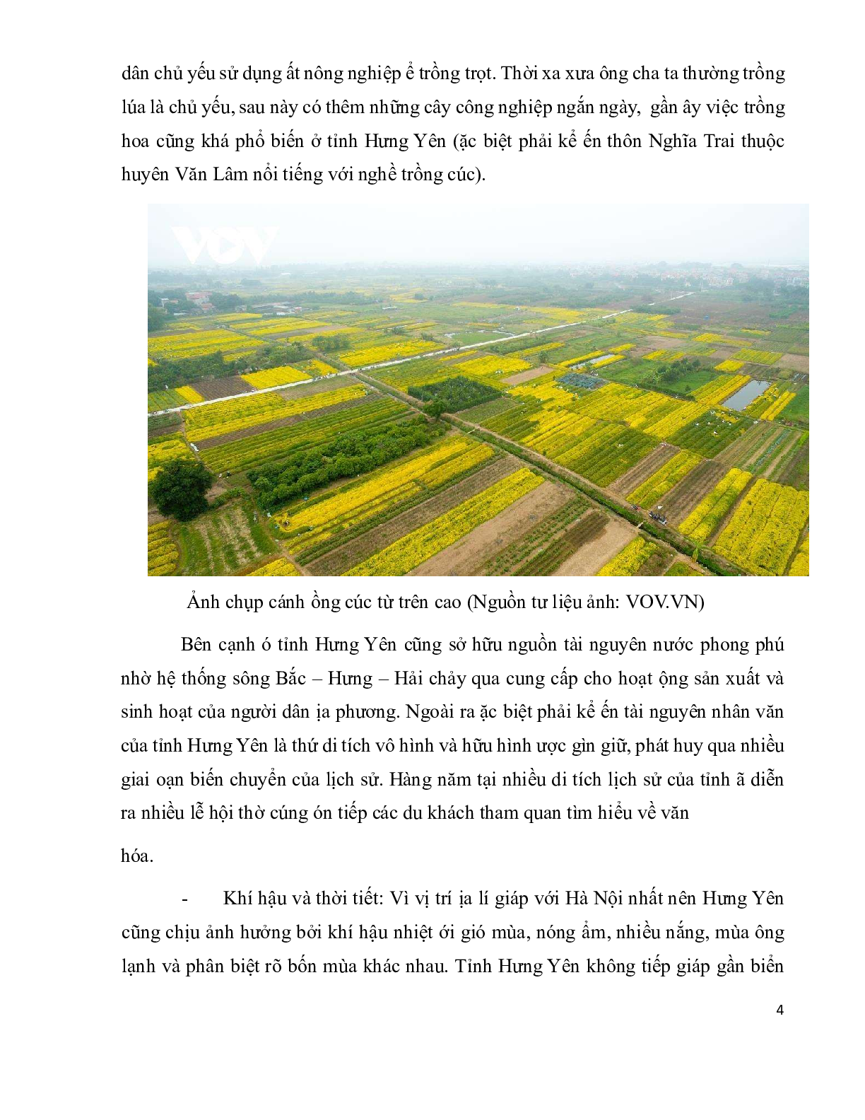 Những tác động của môi trường tự nhiên đến đời sống văn hóa | Tiểu luận môn Cơ sở văn hóa Việt Nam | USSH (trang 4)