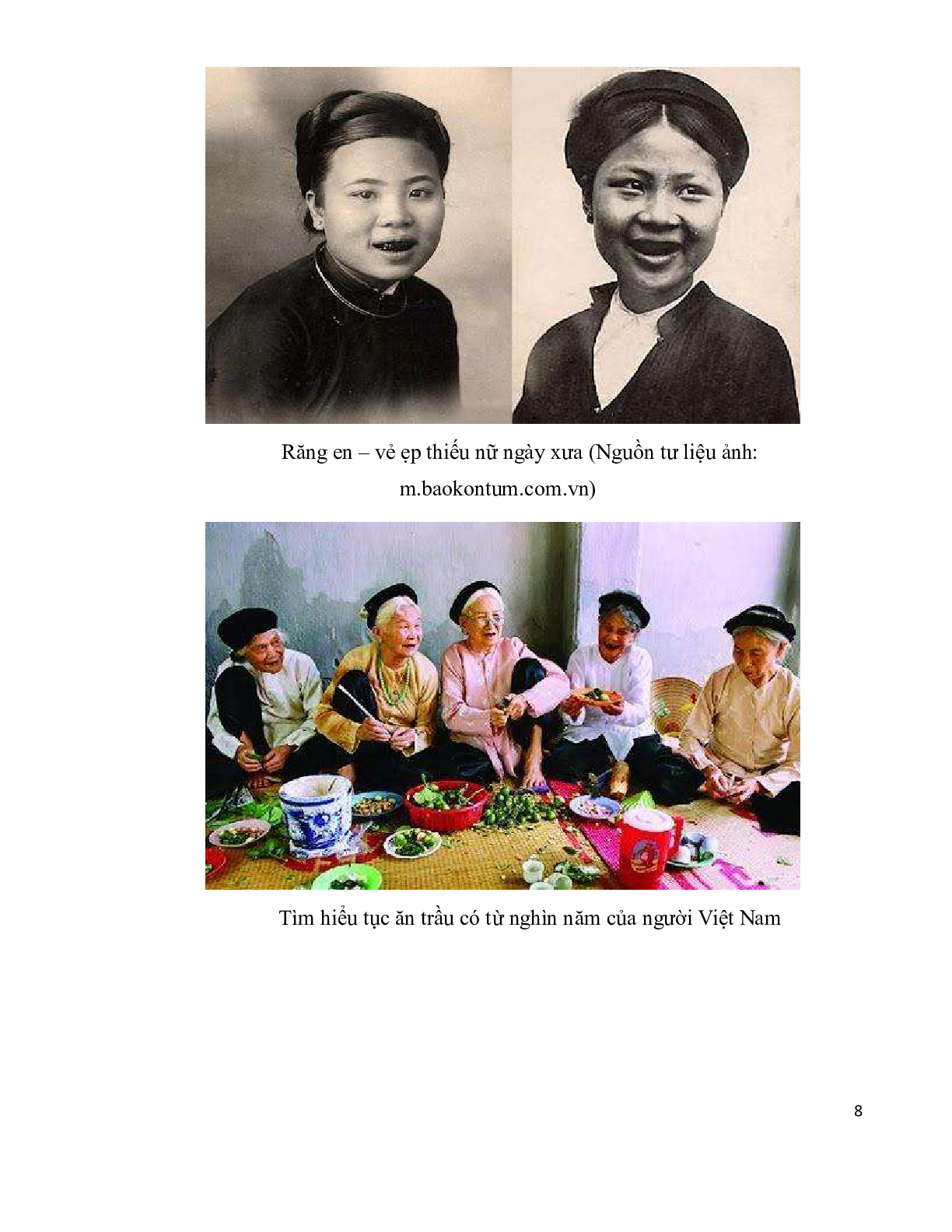 Những tác động của môi trường tự nhiên đến đời sống văn hóa | Tiểu luận môn Cơ sở văn hóa Việt Nam | USSH (trang 8)