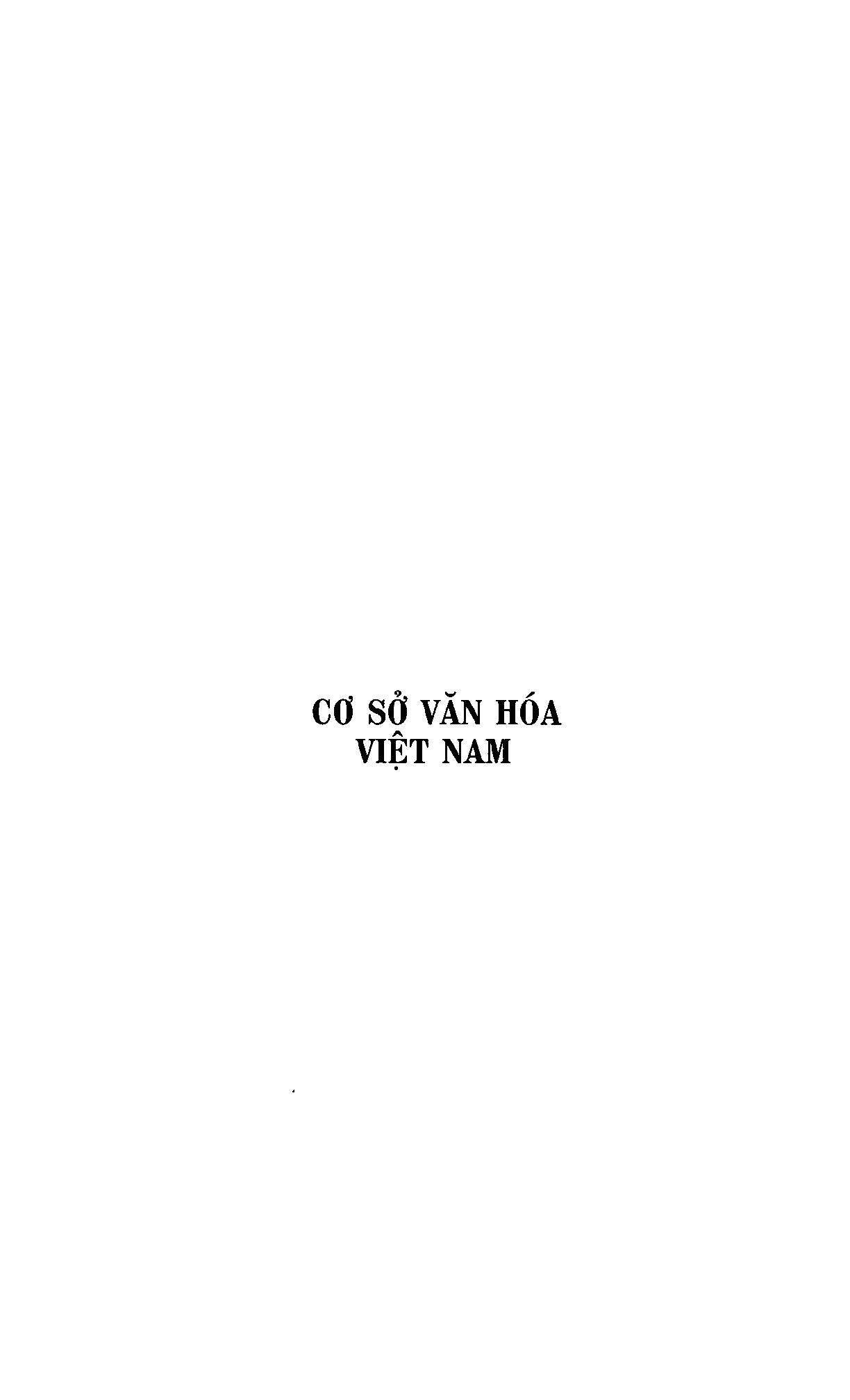 Giáo trình môn Cơ sở văn hóa Việt Nam| Đại học Sư Phạm Hà Nội (trang 2)