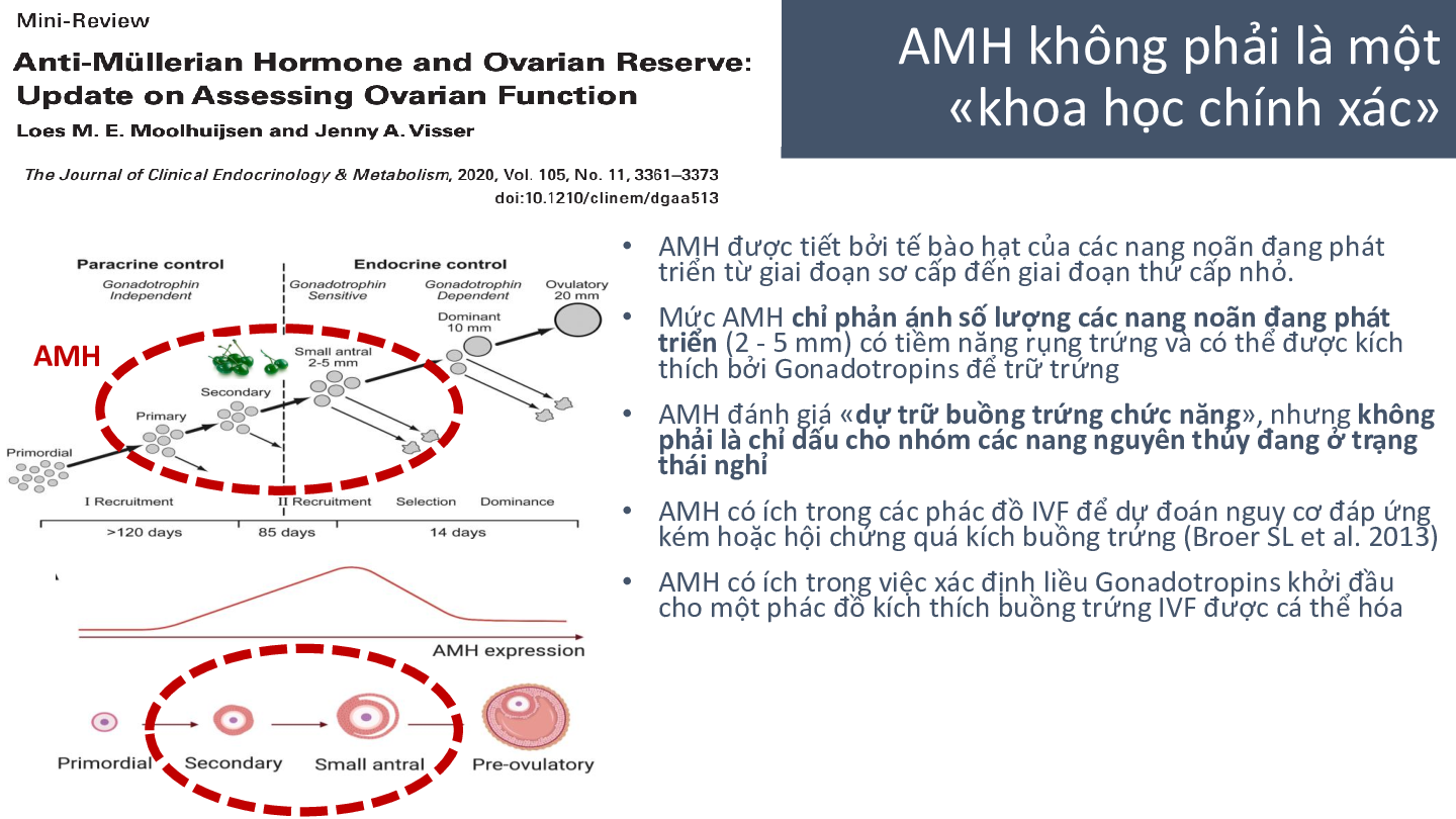 Slide bải giảng về xét nghiệm chỉ số sinh sản AMH (trang 5)