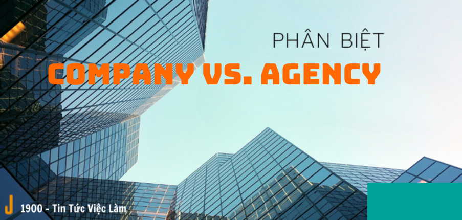 Agency là gì? Đặc điểm cơ bản phân biệt Company và Agency