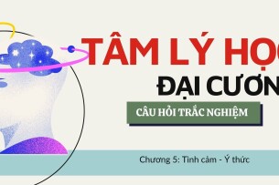 Câu hỏi trắc nghiệm: TÌNH CẢM - Ý THỨC  | Tâm lý học đại cương | Trường Đại học Giao thông vận tải TP Hồ Chí Minh (2025)