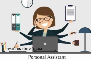 PA là viết tắt của từ gì? Yêu cầu cần có của Personal Assistant