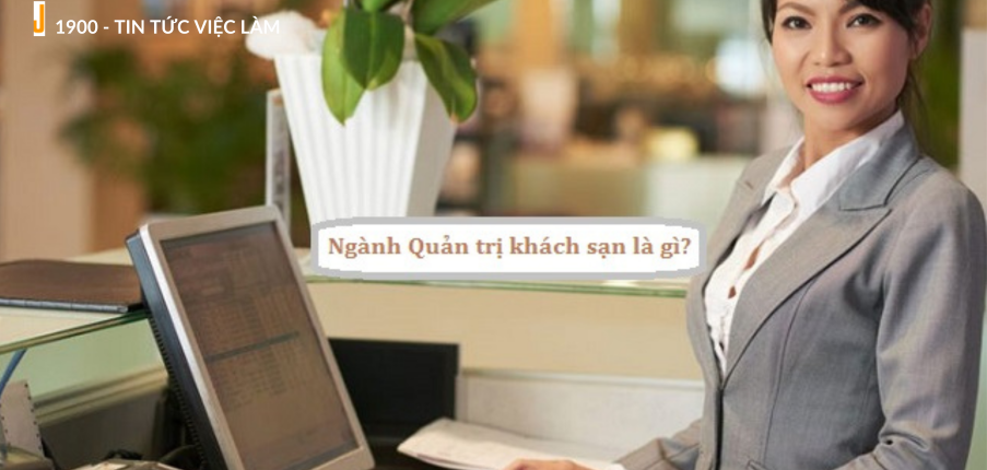 Quản trị khách sạn là gì? Cơ hội việc làm và mức lương quản trị khách sạn