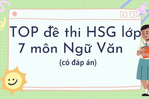 TOP đề thi HSG lớp 7 môn Ngữ Văn (có đáp án)